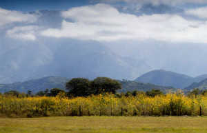 House of Jasmines, Salta