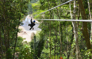 mayflower-bocawina-ziplining