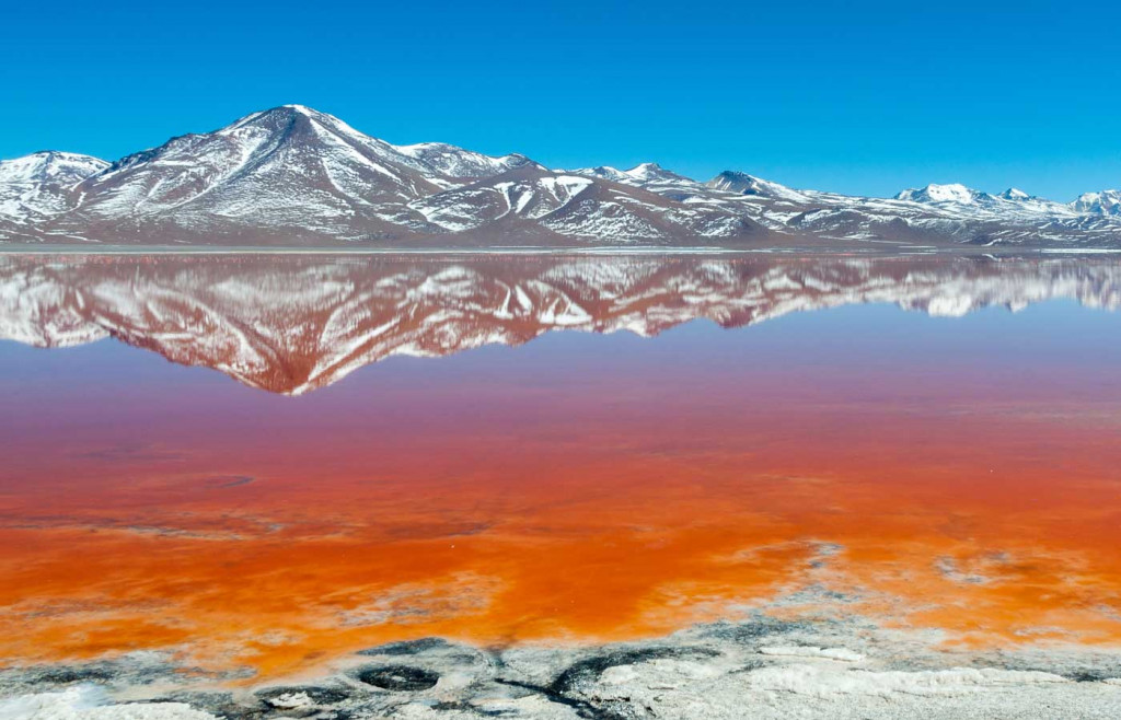 The Laguna Colorada, Bolivia