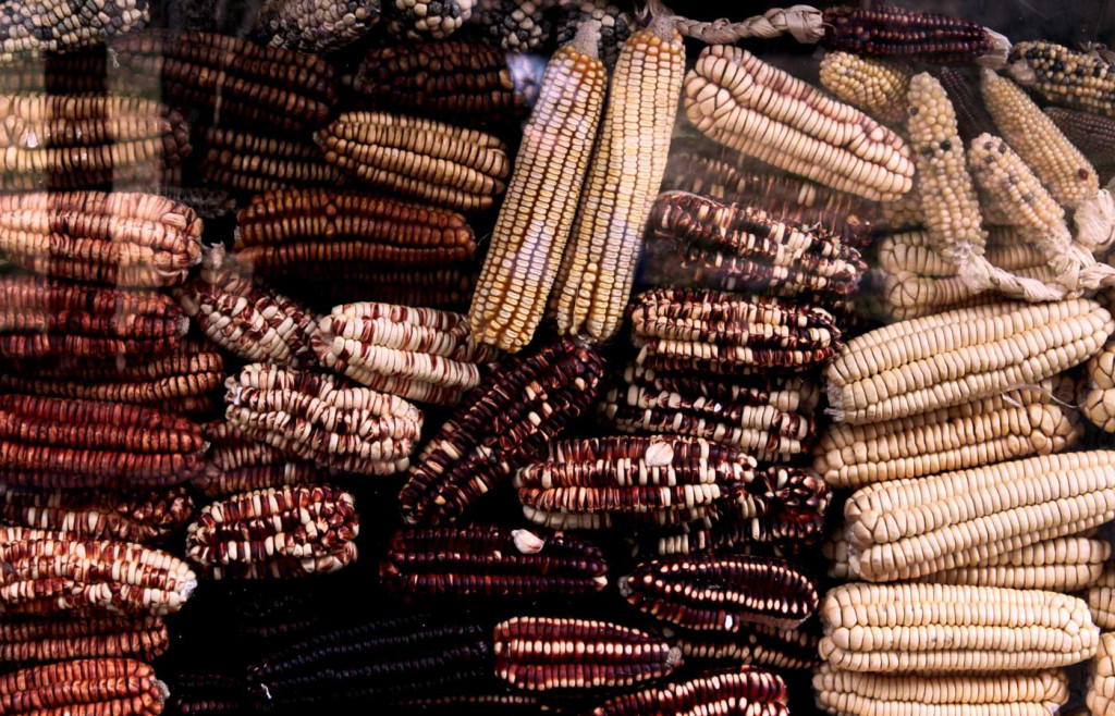 The Andean regions are home to many varieties of corn which is a key ingredient in the local cuisine