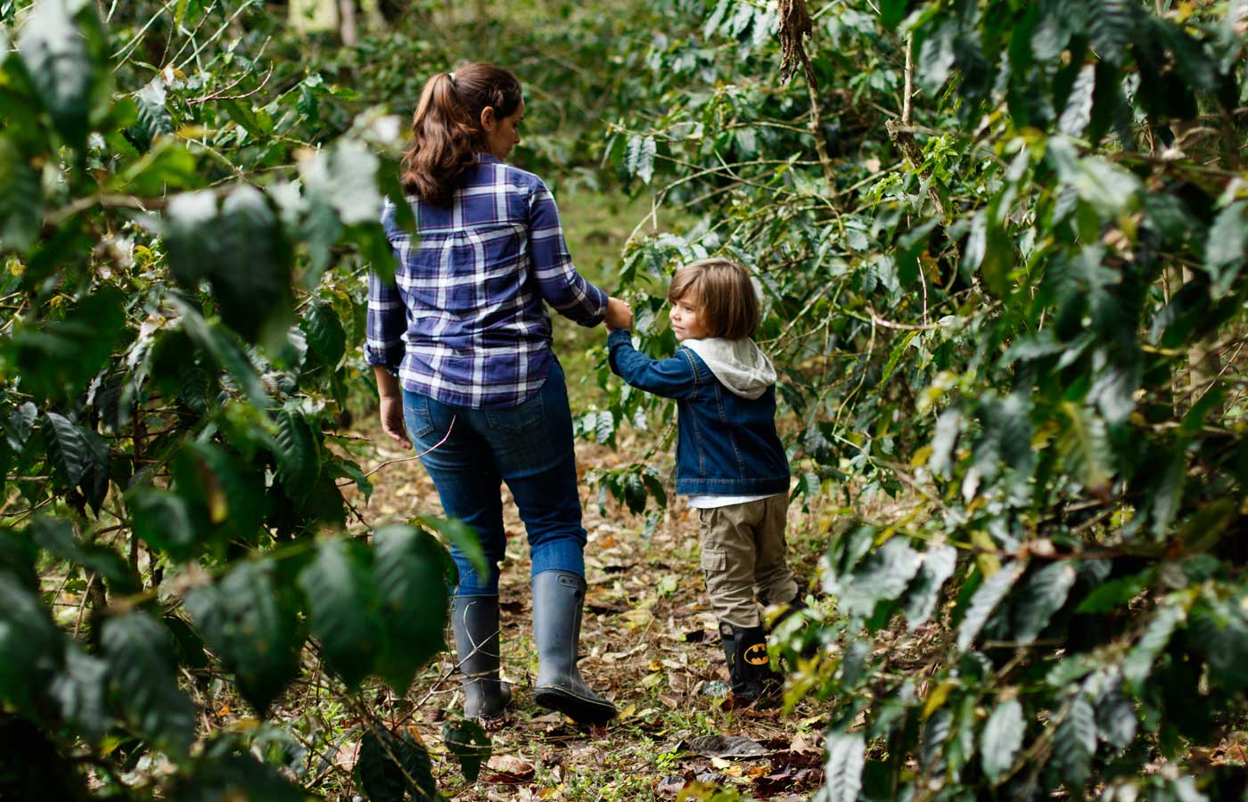 Coffee tour at the Montemar Eco-Luxury Villas