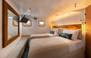 Standard Plus Cabin Coral Galapagos