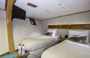 coral-Standard-Cabin Galapagos