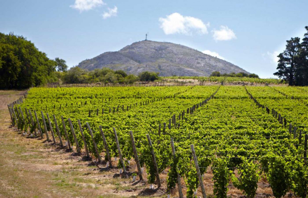 Bodega Bouza, Uruguay