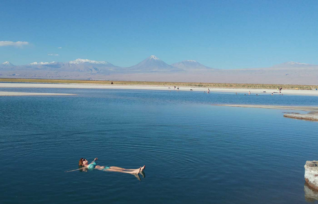 Cejar Lagoon in the Atacama Desert, Chile