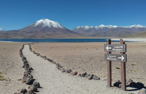 Miscanti and Miniques Lagoons in northern Chile