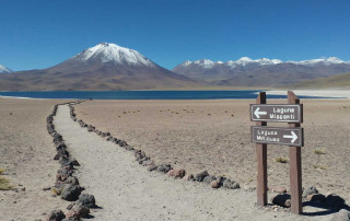 Miscanti and Miniques Lagoons in northern Chile