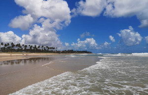 A beach in Porto de Galinhas beach, northern Brazil