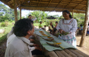 Community activities at Sacha Lodge - Ecuador holidays - Luxury Amazon lodges