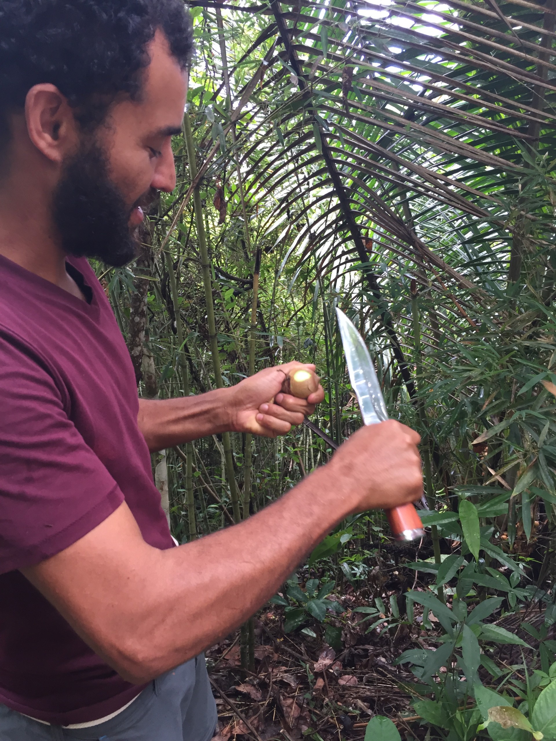 Foraging in Paraty, Brazil - family holidays to Brazil