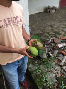 Foraging in Paraty, Brazil - family holidays to Brazil