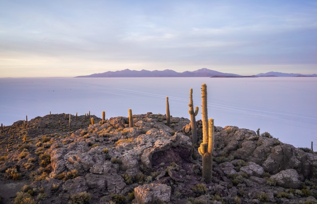 View from Incahuasi Island - Luxury holidays to Bolivia