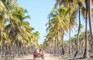 Maracaipe Beach Buggy rides - northern Brazil