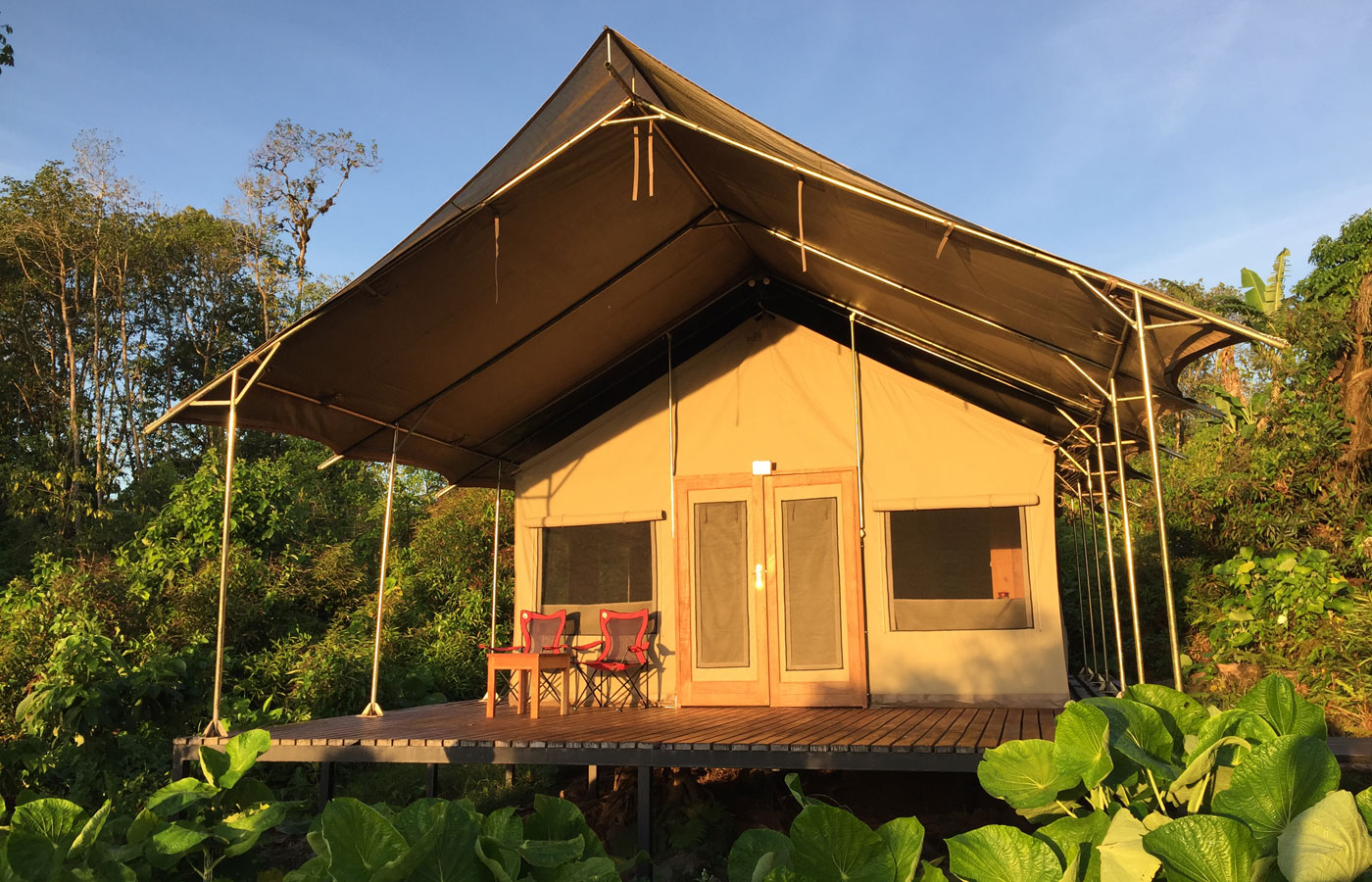 Tented suite at Scalesia Lodge