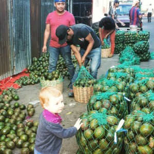 Travelling with a family - Latin America