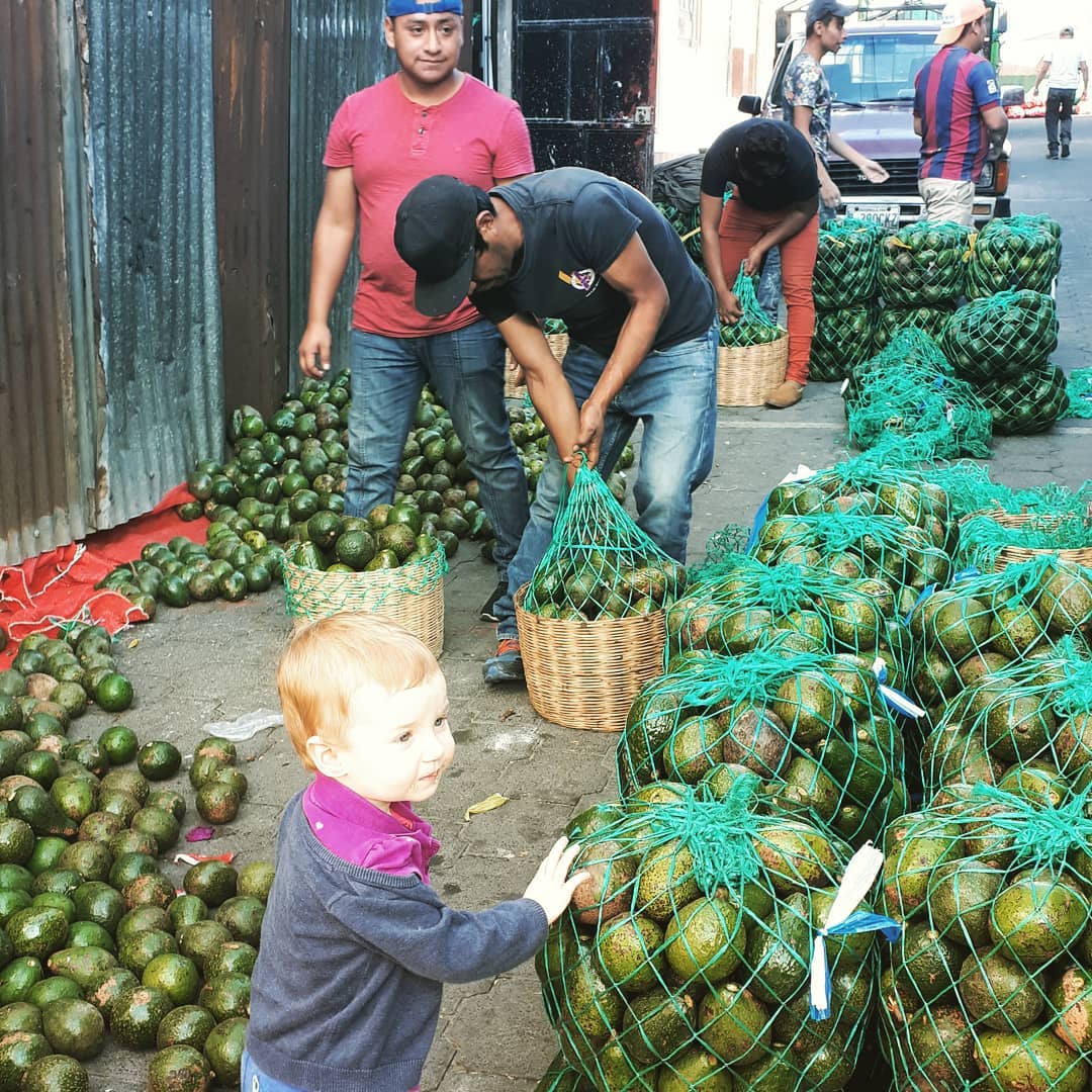 Travelling with a family - Latin America