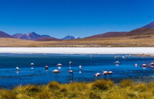 Landscapes of southern Bolivia - luxury tours of Uyuni