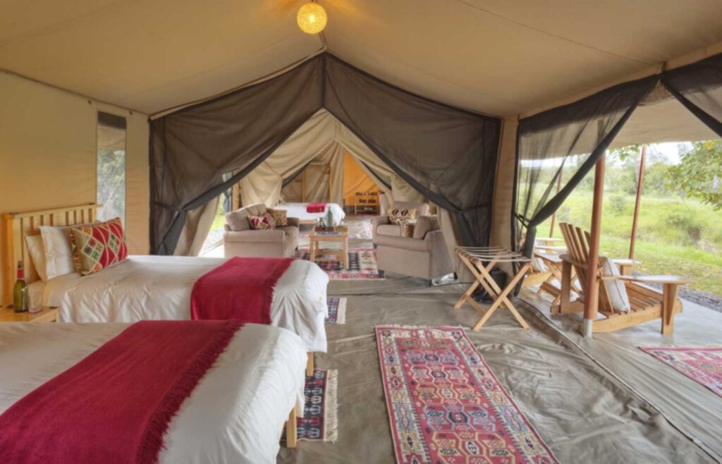 Ol Pejeta Bush Camp, Mount Kenya National Park, Kenya