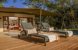 Savanna Private Game Reserve, Sabi Sand Game Reserve, South Africa