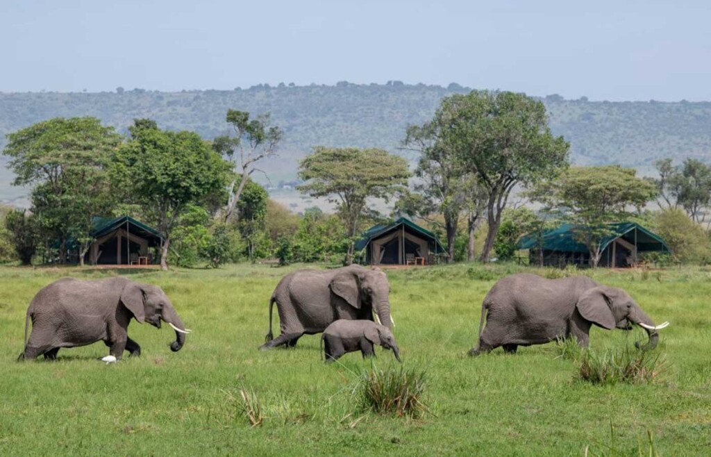 Little Governors Camp, Maasai Mara, Kenya