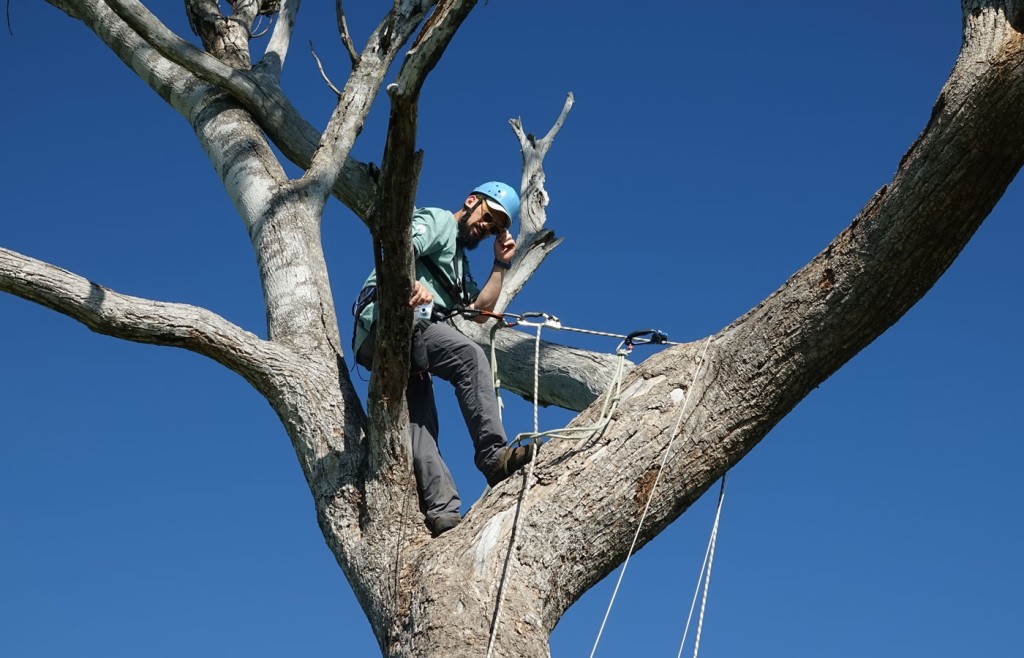 Arara Azul project, Caiman Lodge, Pantanal, Brazil