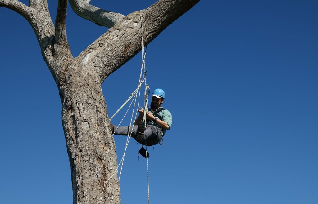 Arara Azul project, Caiman Lodge, Pantanal, Brazil