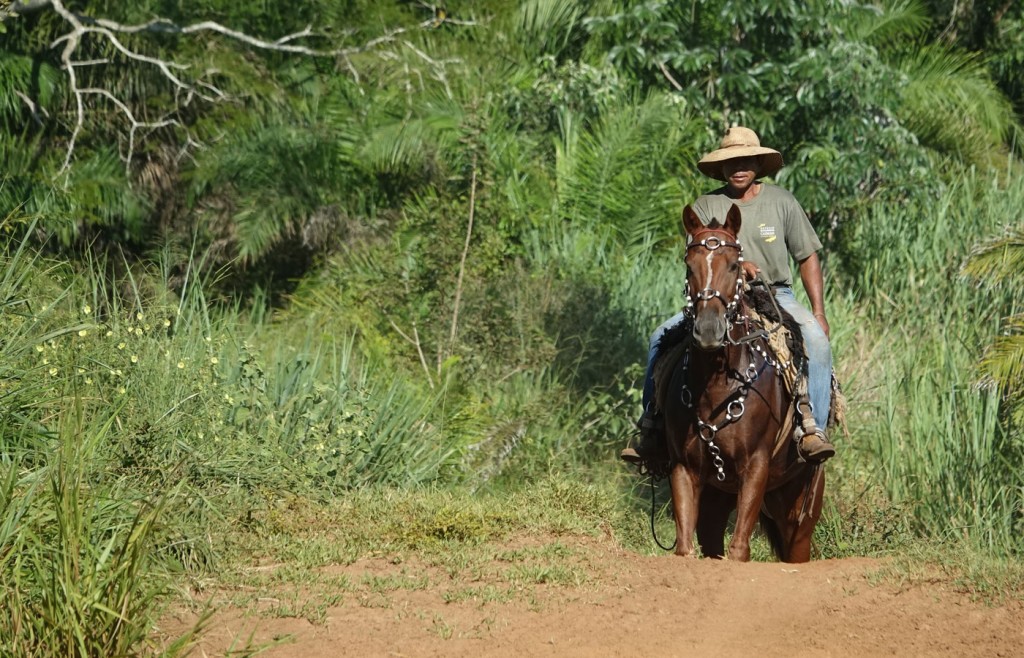 Pantaneiro, Caiman Lodge, Pantanal, Brazil