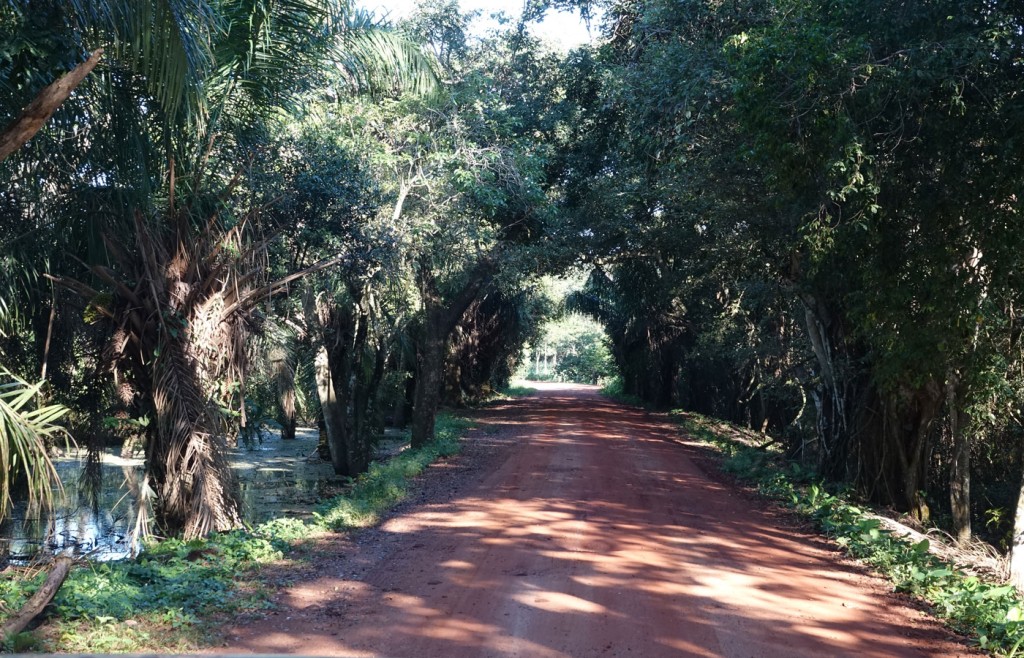 Caiman Lodge, Pantanal, Brazil