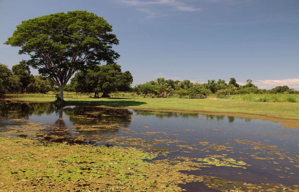 Caiman Lodge, Pantanal, Brazil