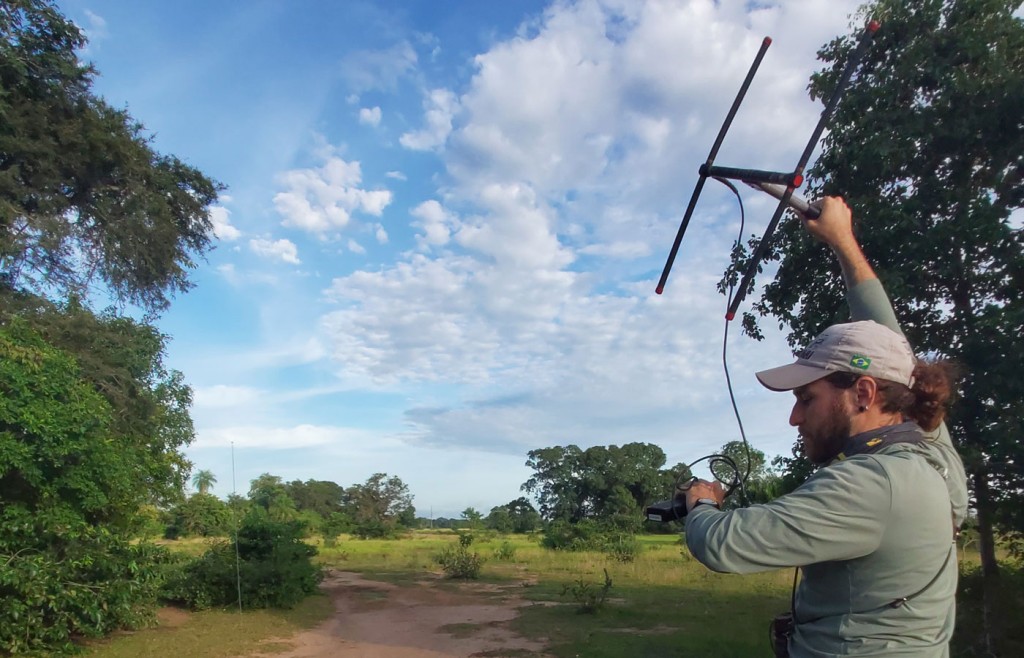 Searching for jaguars, Caiman Lodge, Pantanal, Brazil