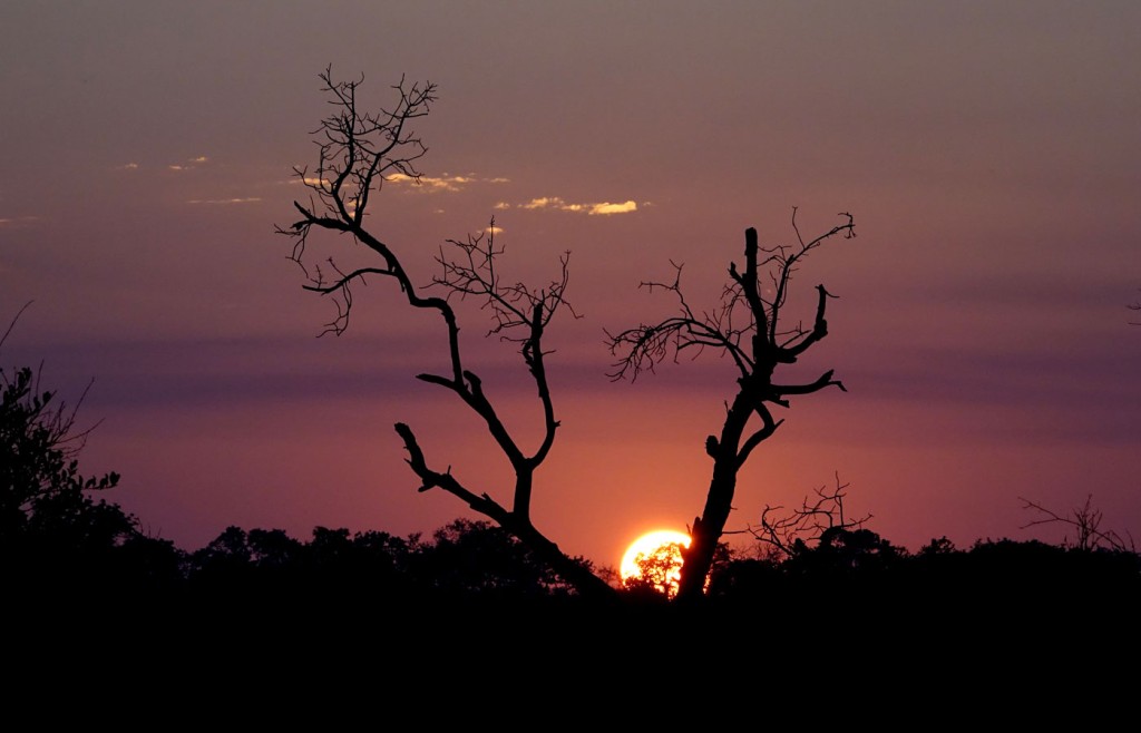 Sabi Sand Private Game Reserve, South Africa