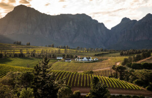 Brookdale Estate, Western Cape, Paarl Winelands, South Africa