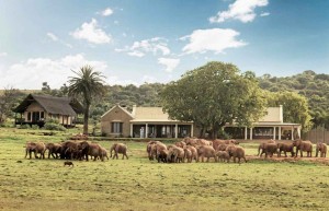 Gorah Elephant Camp, Addo Elephant National Park, South Africa