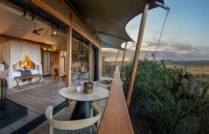 Sindile Safari Lodge, Shamwari Private Game Reserve, South Africa