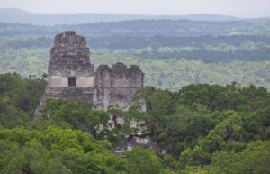 Maya Biosphere Reserve, Guatemala