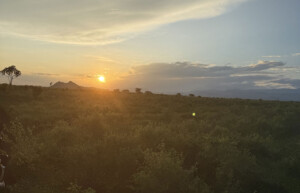 Sunset, Meru, Kenya