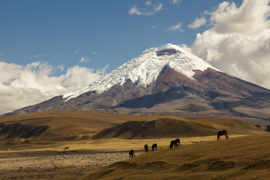 The volcano Cotopaxi in Ecuador